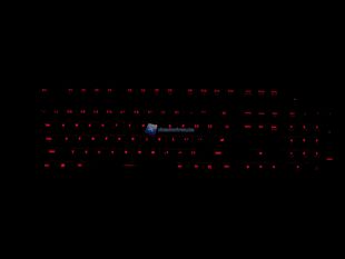 Fnatic-Gear-RUSH-LED-1